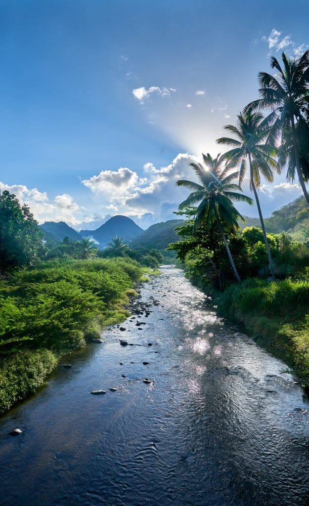 Paysage Martinique