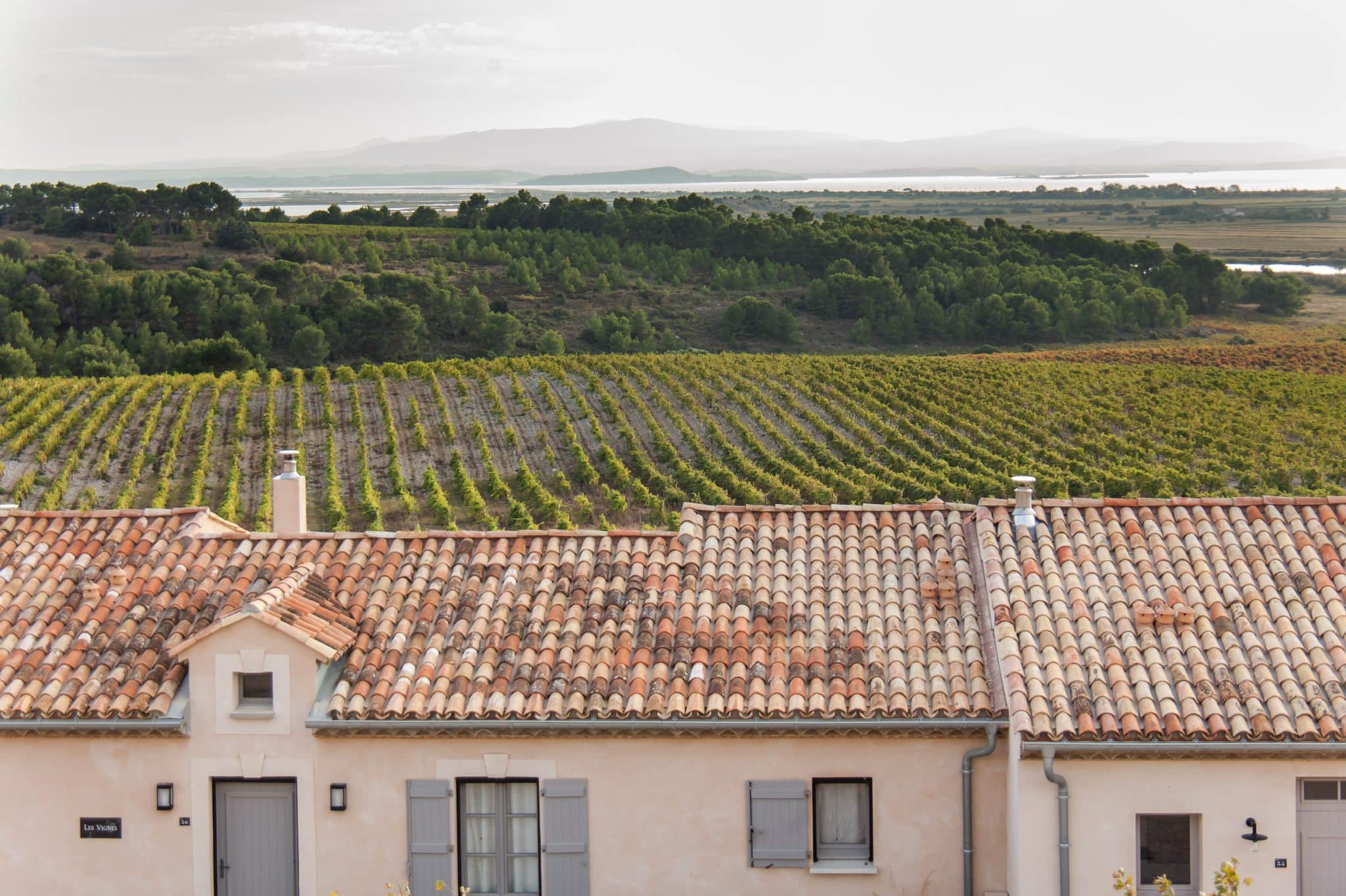 vue sur une villa et les vignes du chateau capitoul-IMG_2760