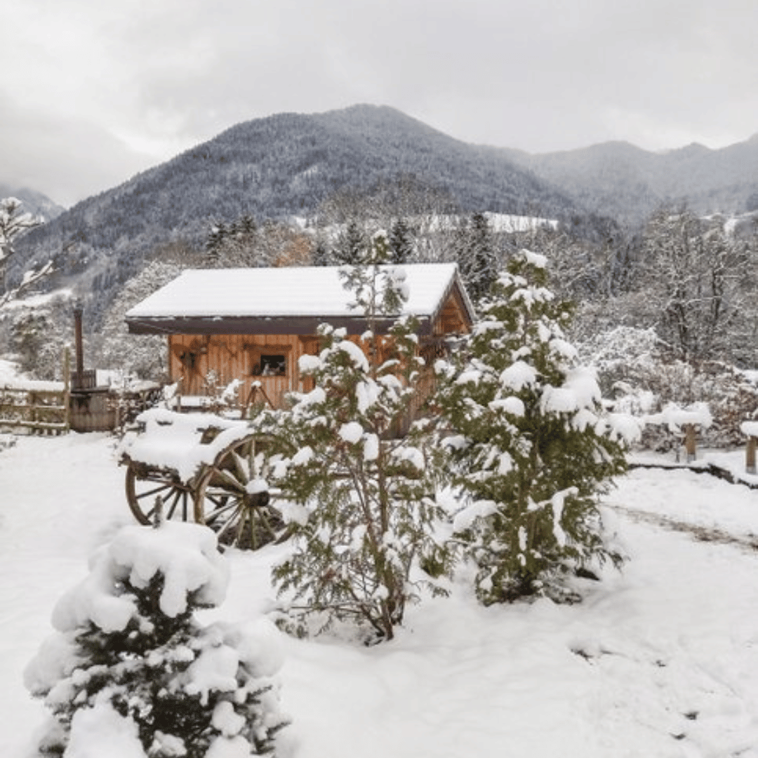 Paysages enneigé avec un chalet en fond.