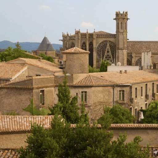 Batiment de la cité de Carcasonnes vue des toits de la ville