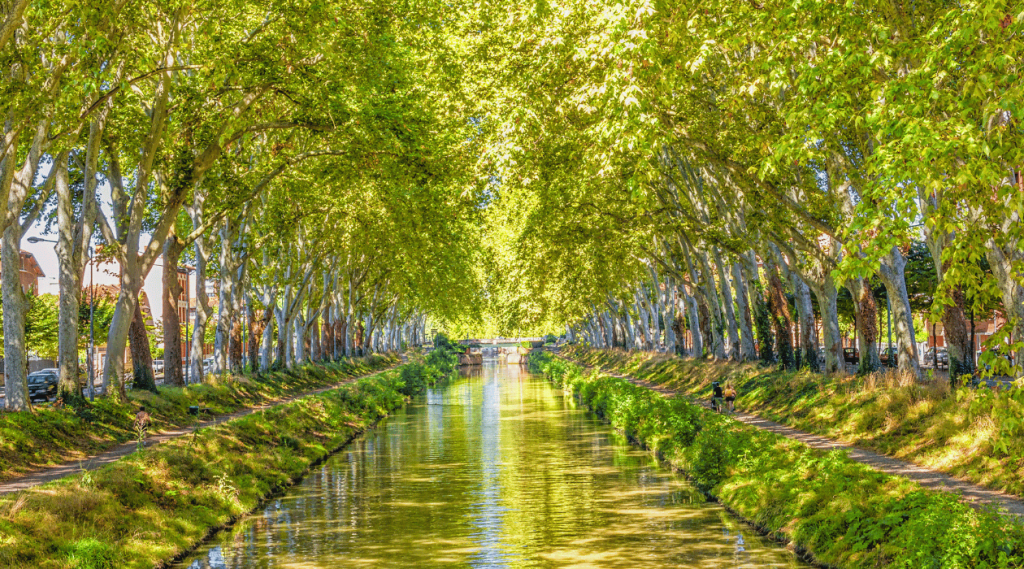 Cours d'eau du canal du midi et des arbres de chaque cotés