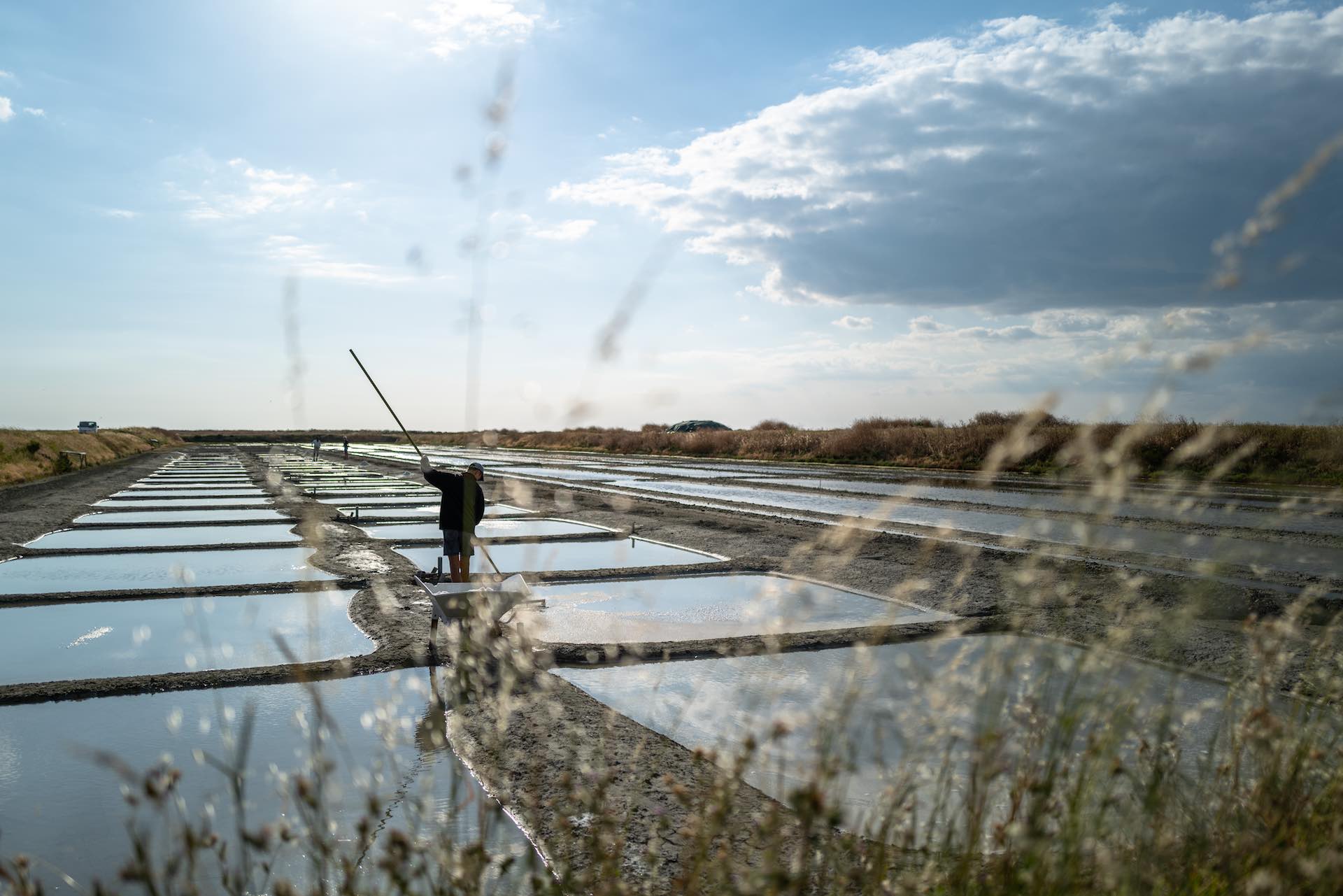 Photo de l'Ile de Ré - Production de Sel