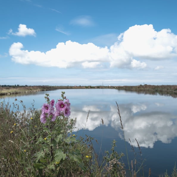 Ile de Ré photo lac