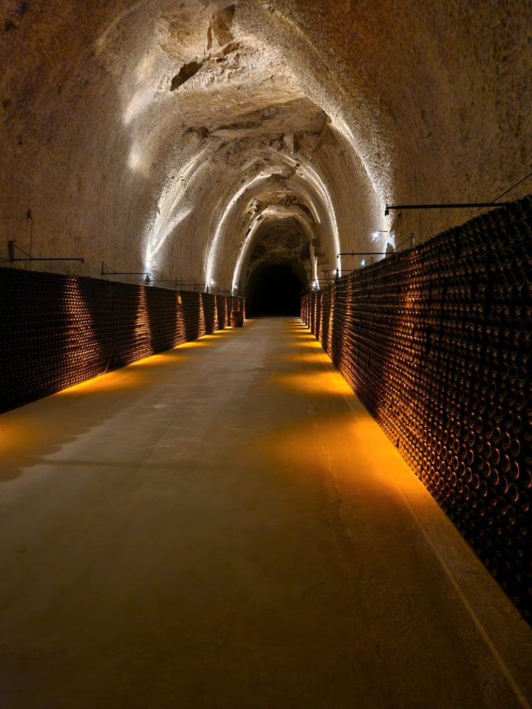 Cave voutée en champagne