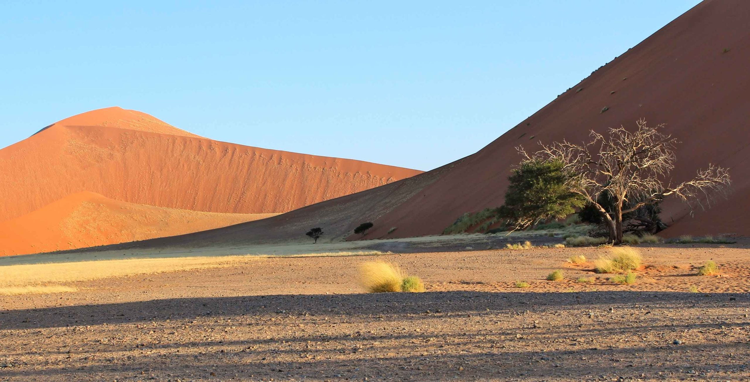 dune afrique australe