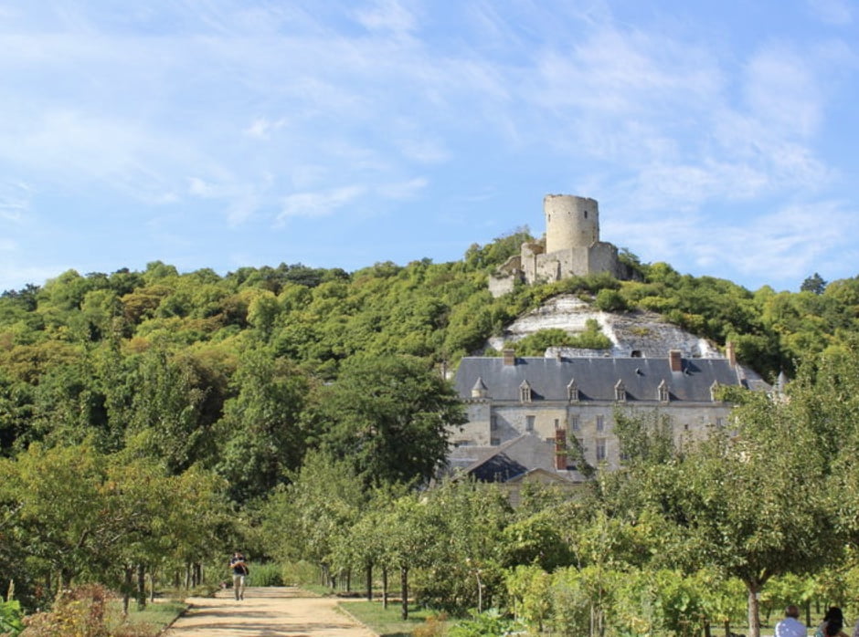 Château La Roche Guyon