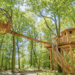 CABANE-LOVNID-PASSION-1