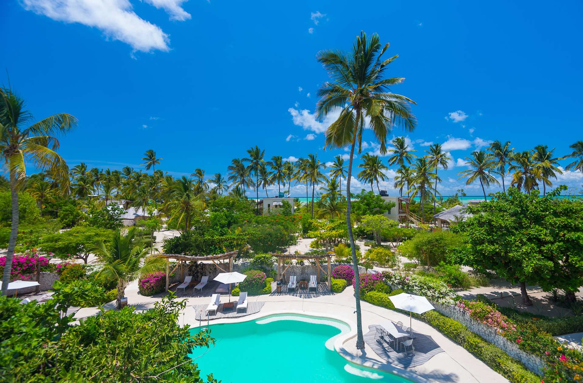 vue aérienne de l'hôtel avec palmiers, hôtel, transats - Whites and Villas