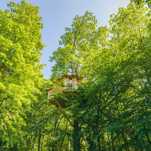 Vue de dessous d'une cabane dans les arbres