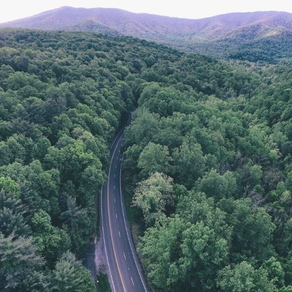 route en vue aérienne entourée d'arbres