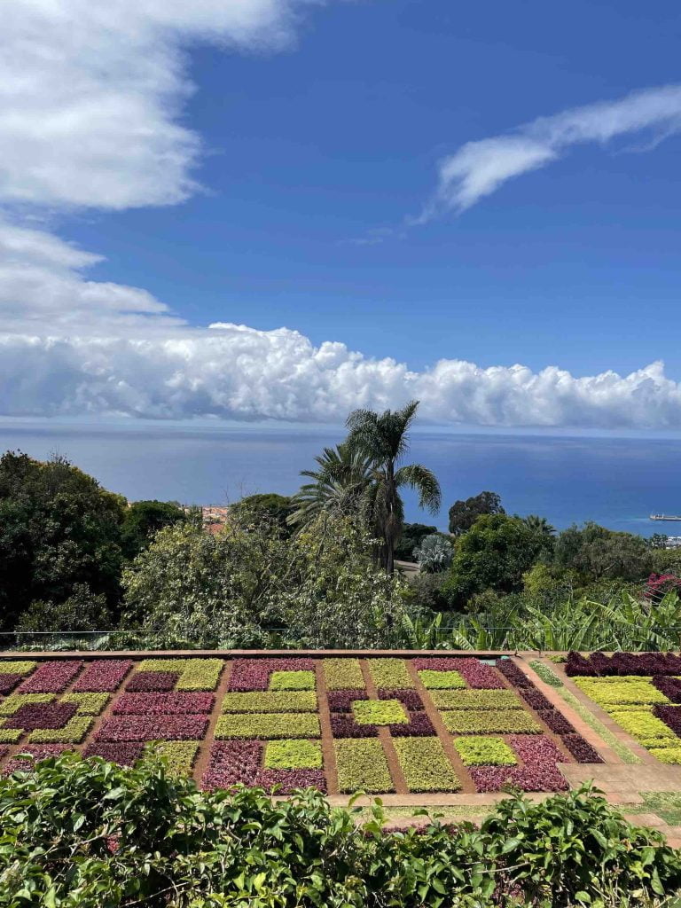 Jardin Botanique Funchal