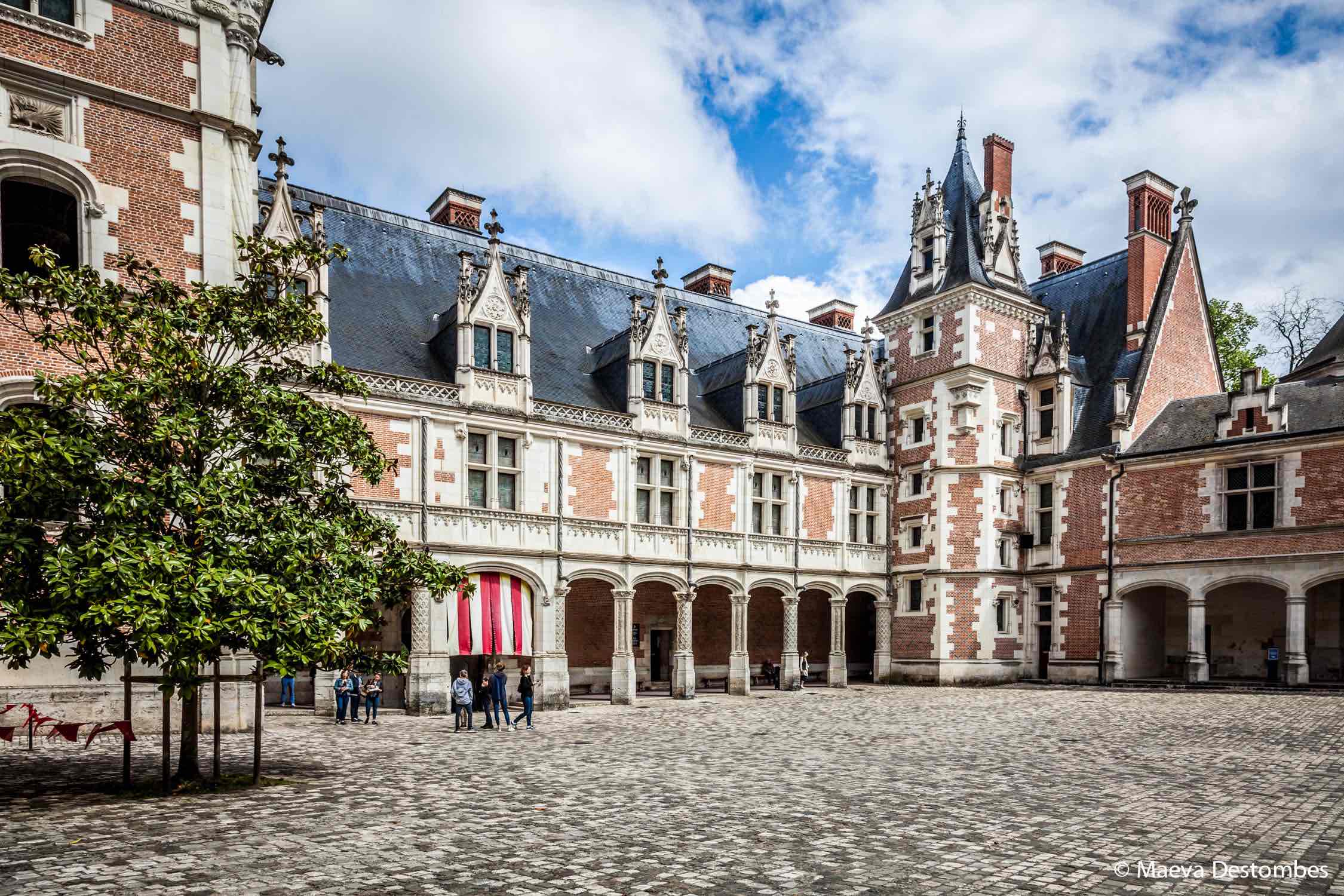 Château de Blois