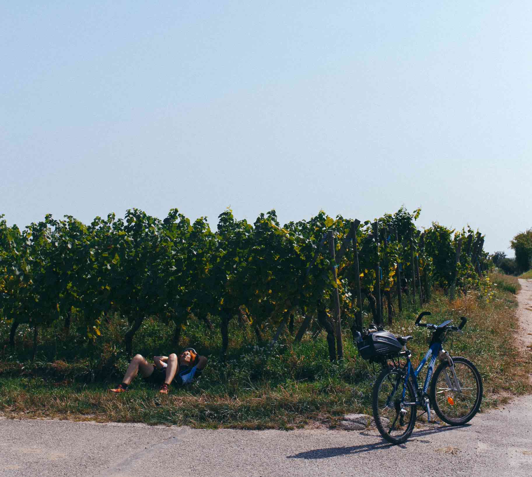 ALSACE VELO - @DR-3350