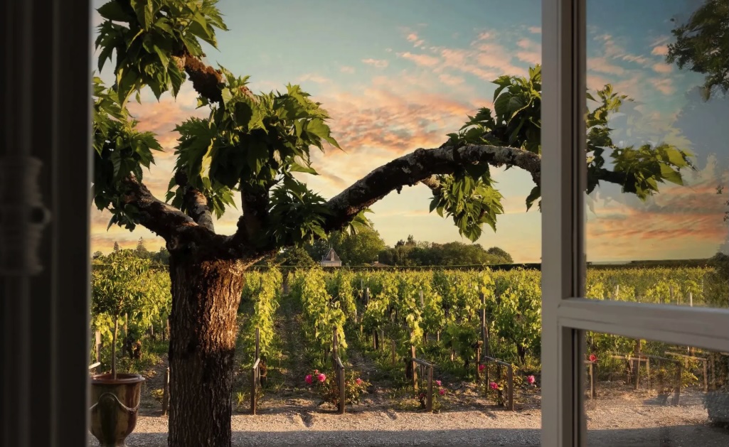 Château Cordeillan-Bages